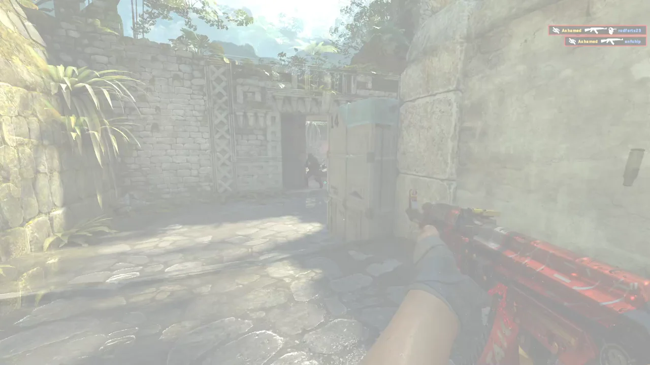 highlight
